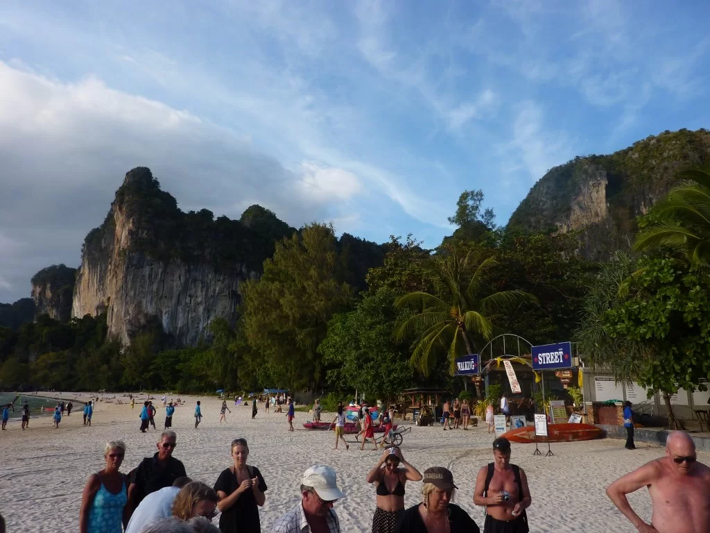 P1000675.webp