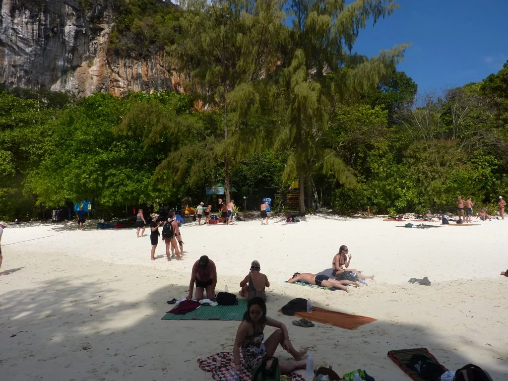 P1000727.webp