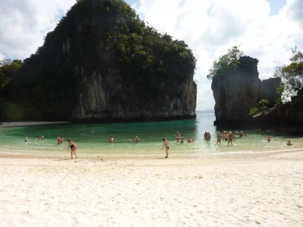 P1000730.webp