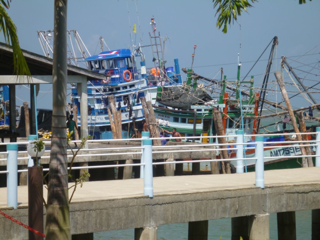 P1000786.JPG