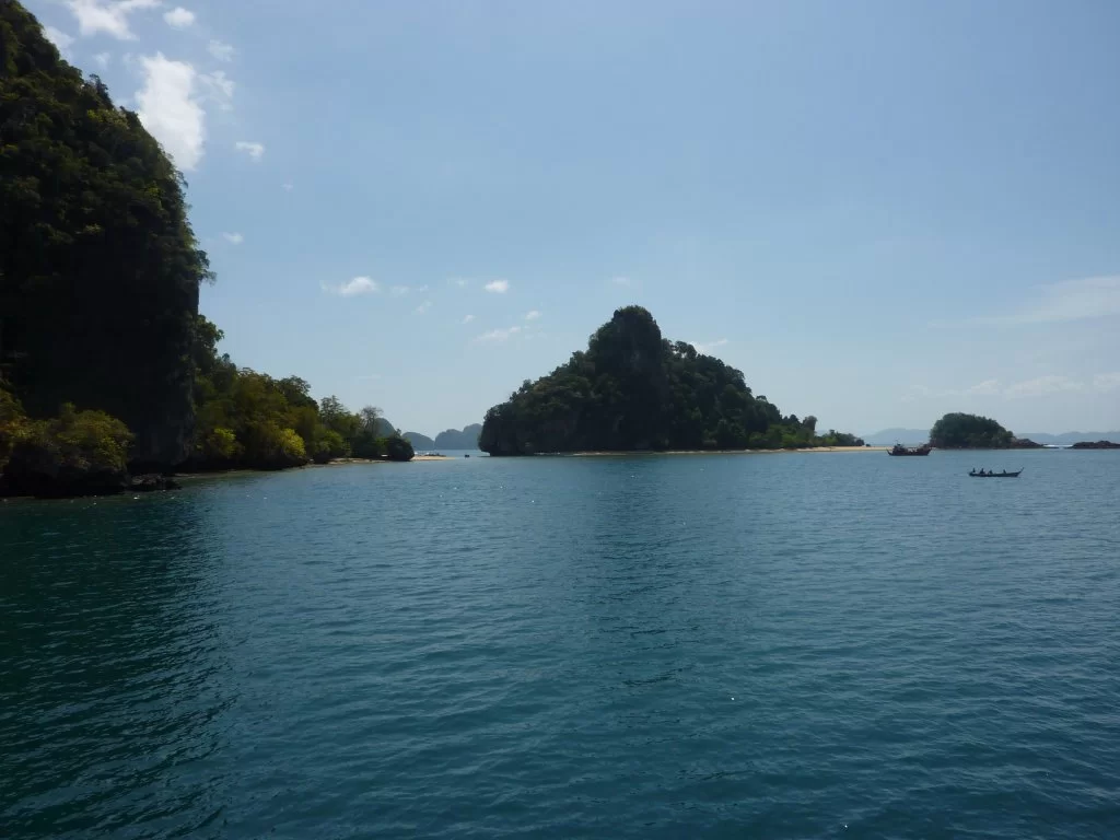 P1000805.webp