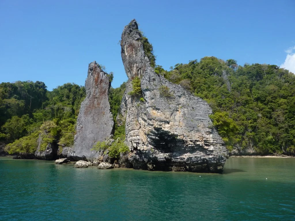 P1000810.webp