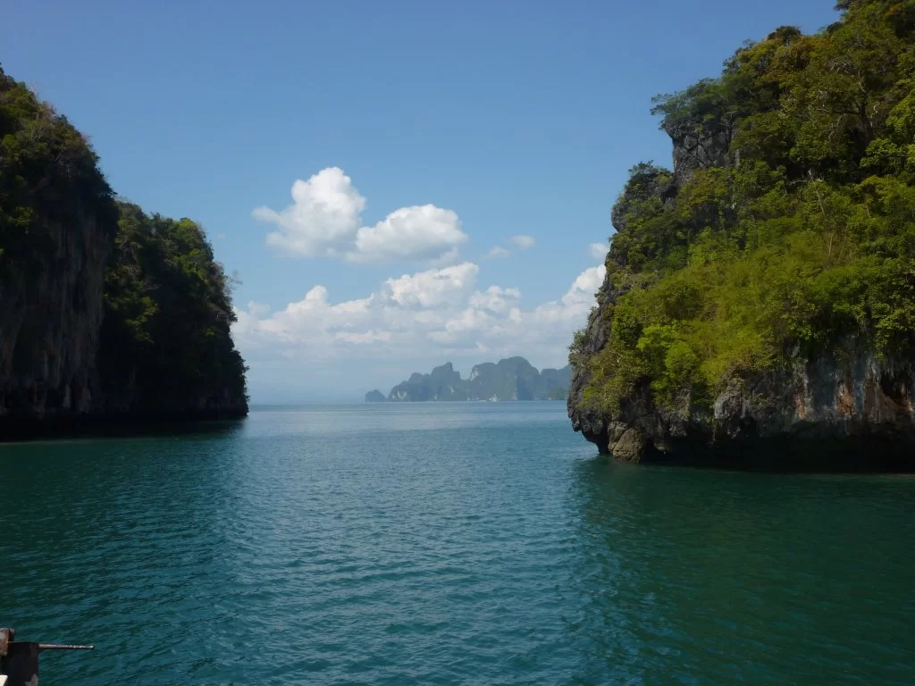 P1000815.webp