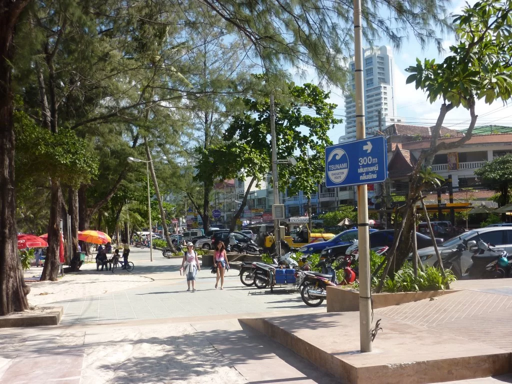 P1000915.webp