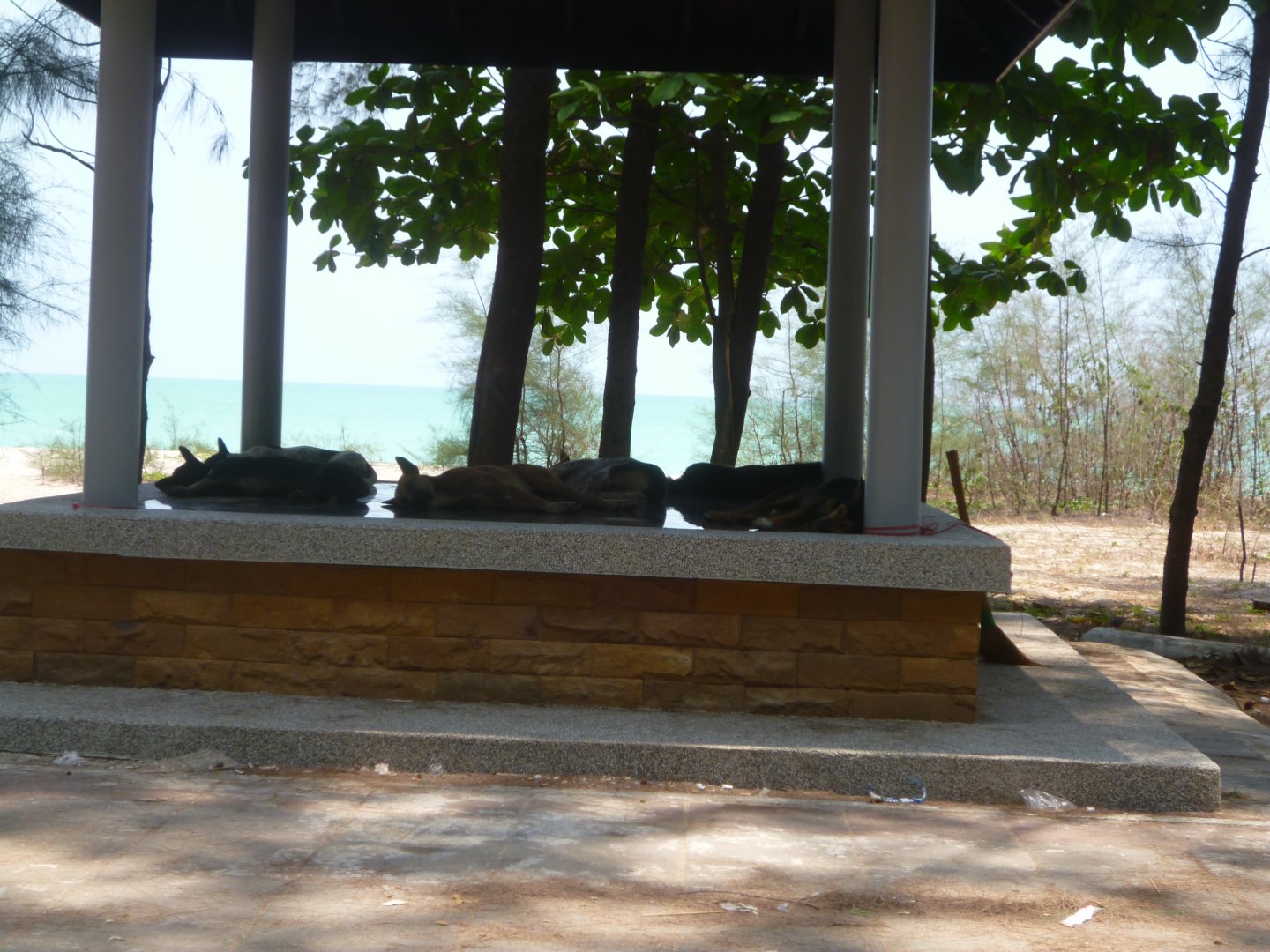 P1000942.JPG