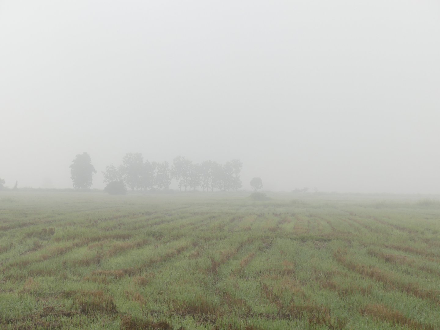 P1010550.JPG