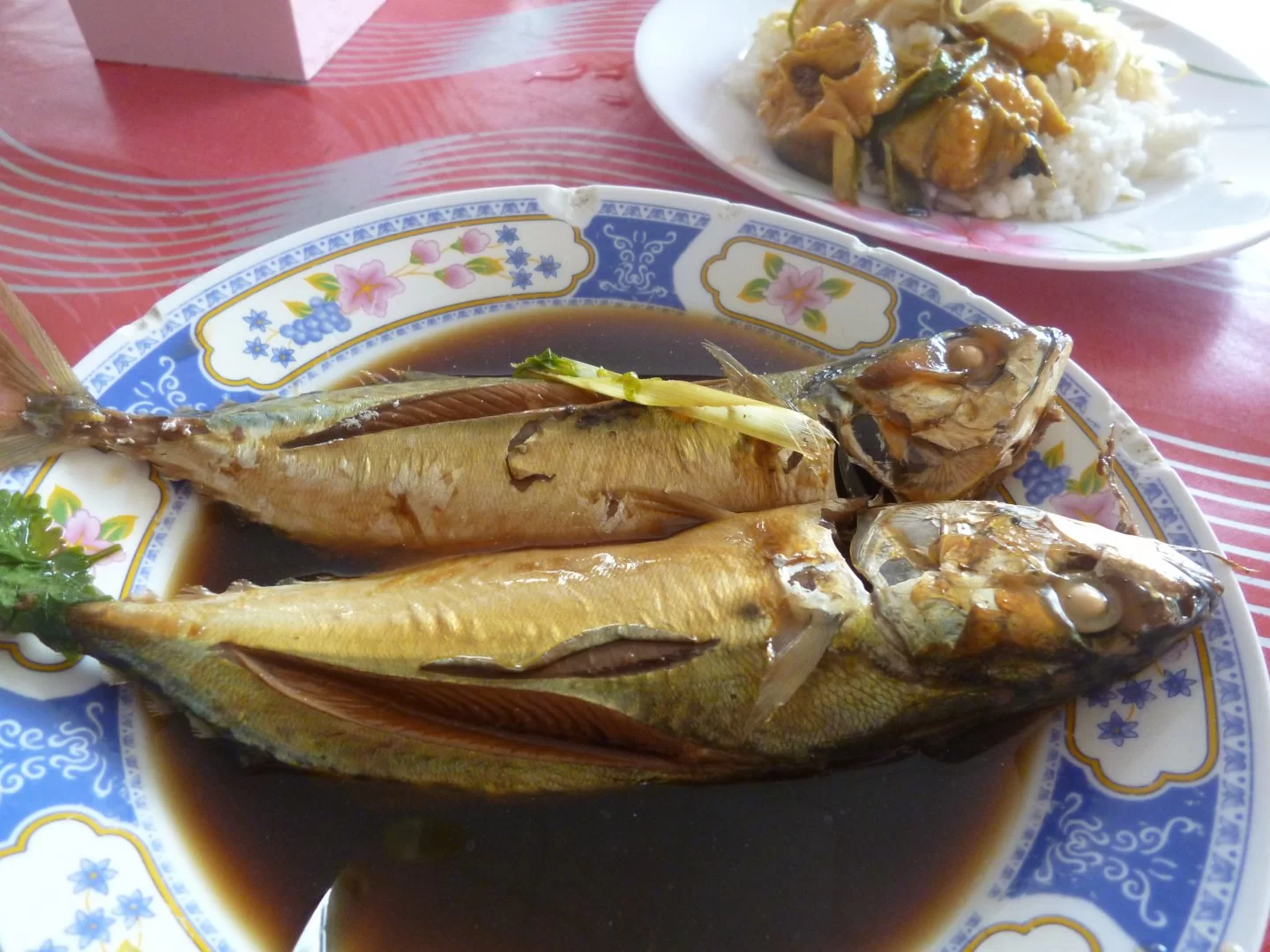 P1010816.webp