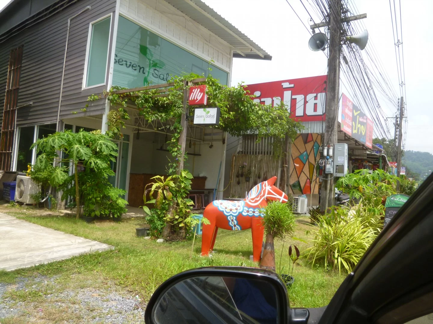 P1030406.webp