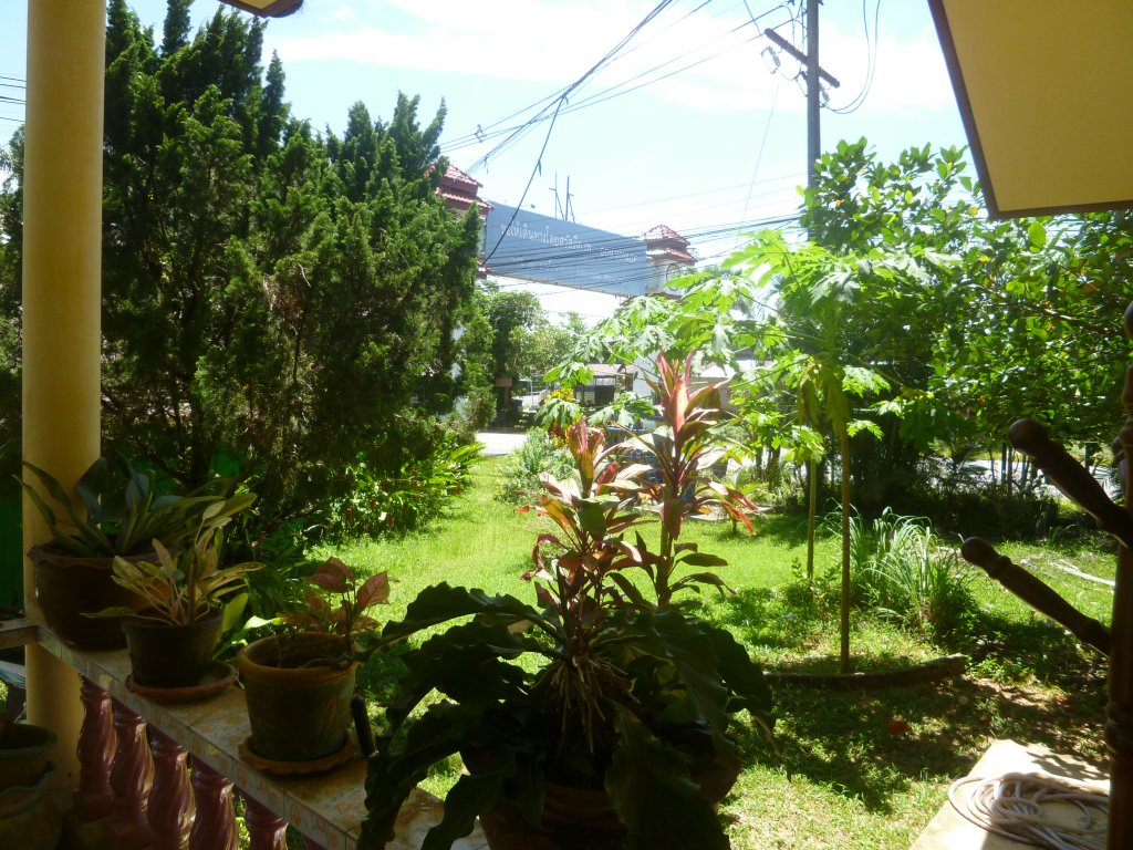 P1030526.JPG