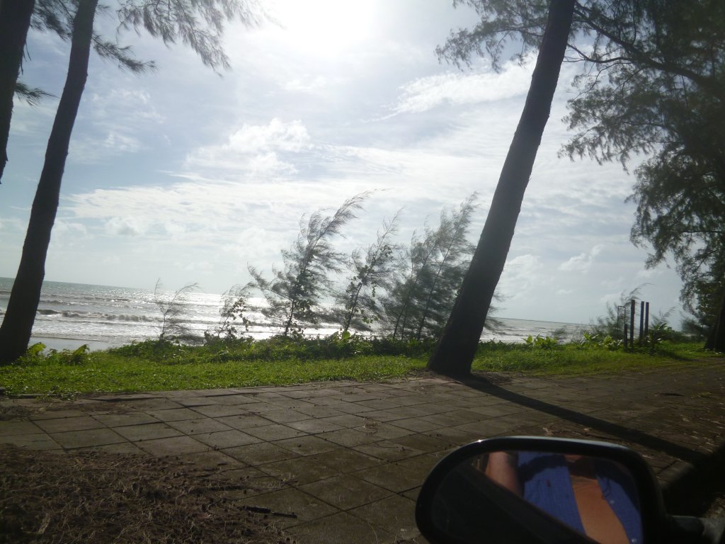 P1030529.JPG
