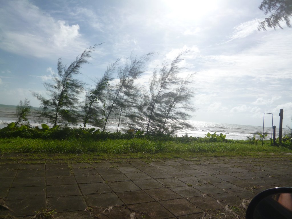 P1030530.JPG
