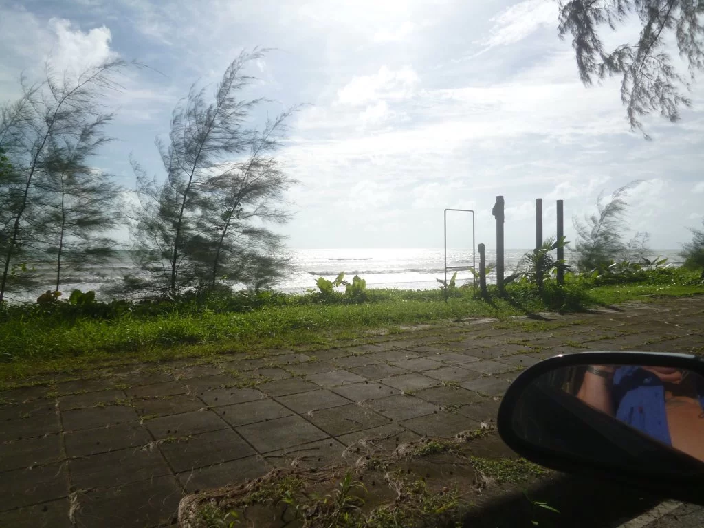 P1030531.webp