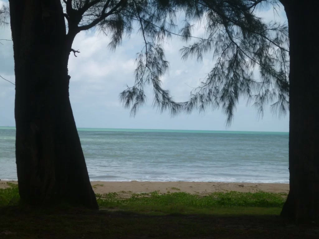 P1030549.webp