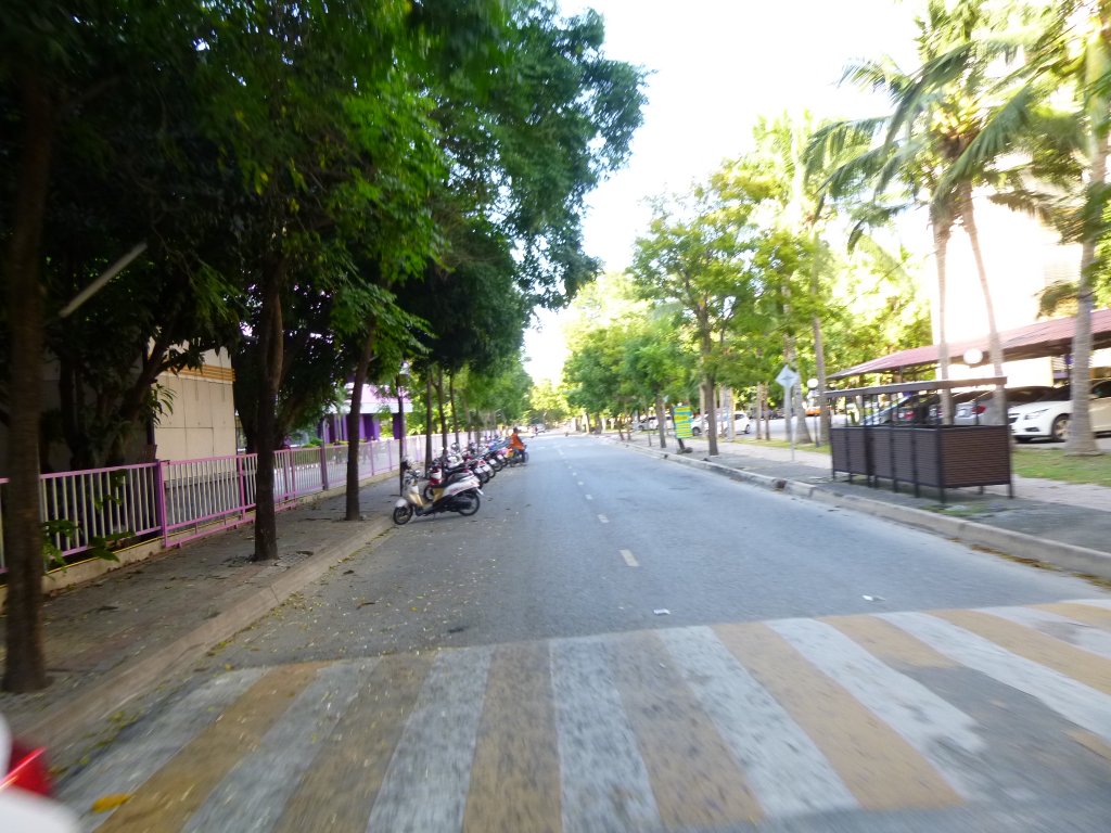 P1030952.JPG