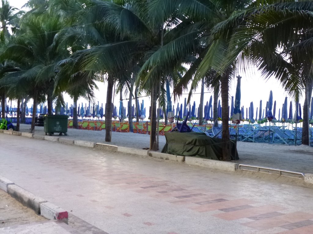 P1030962.jpg