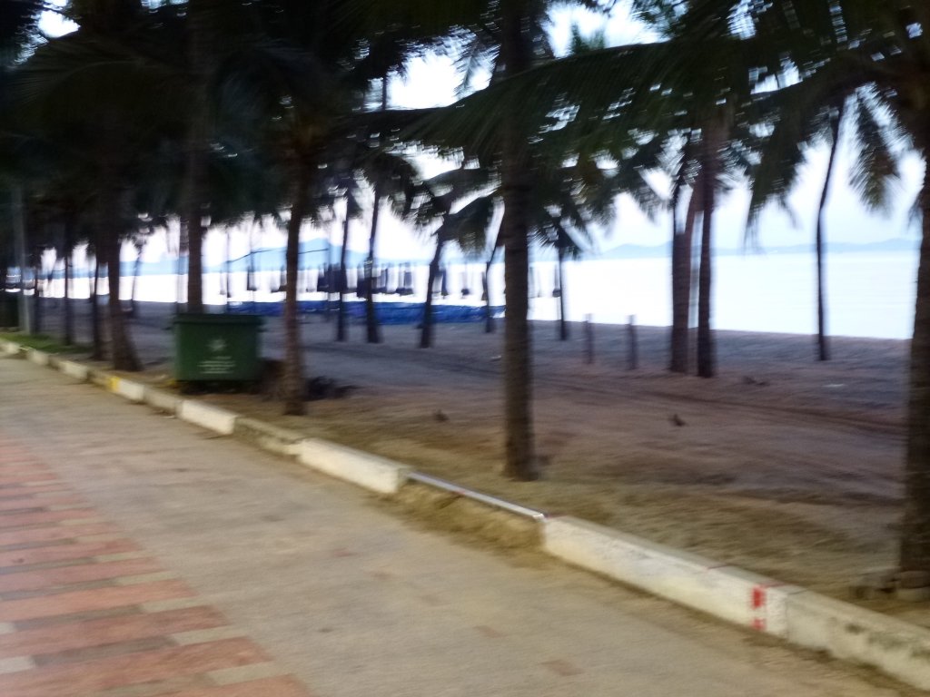 P1030996.jpg