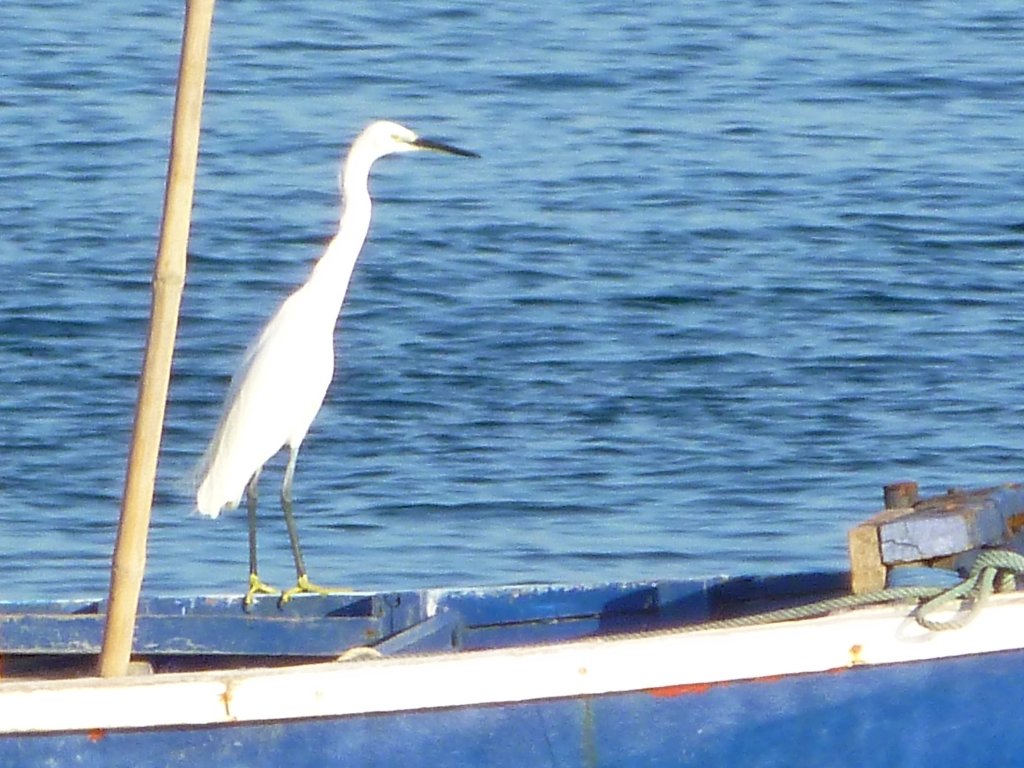 P1040149.jpg