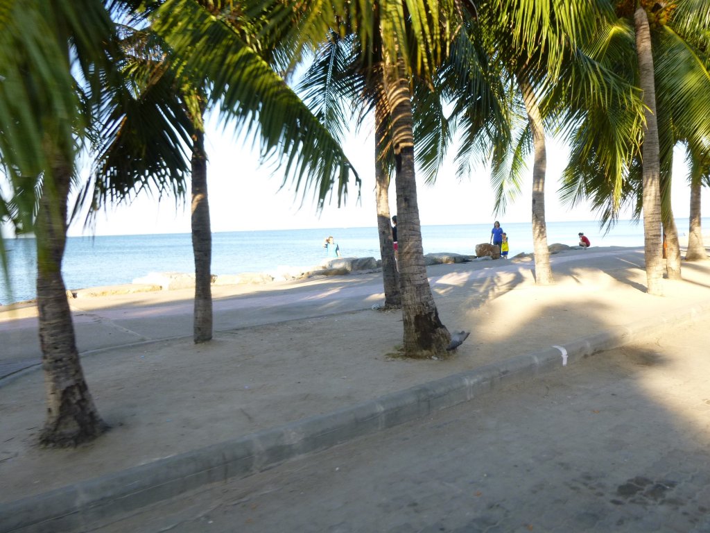 P1040161.jpg