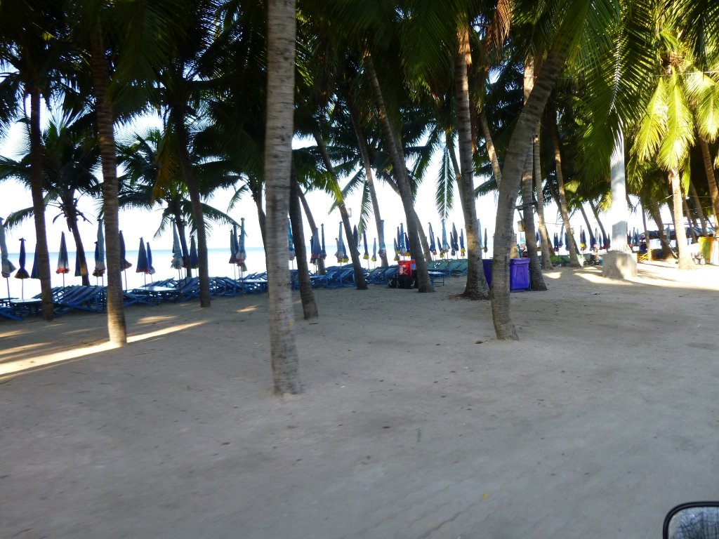 P1040167.jpg
