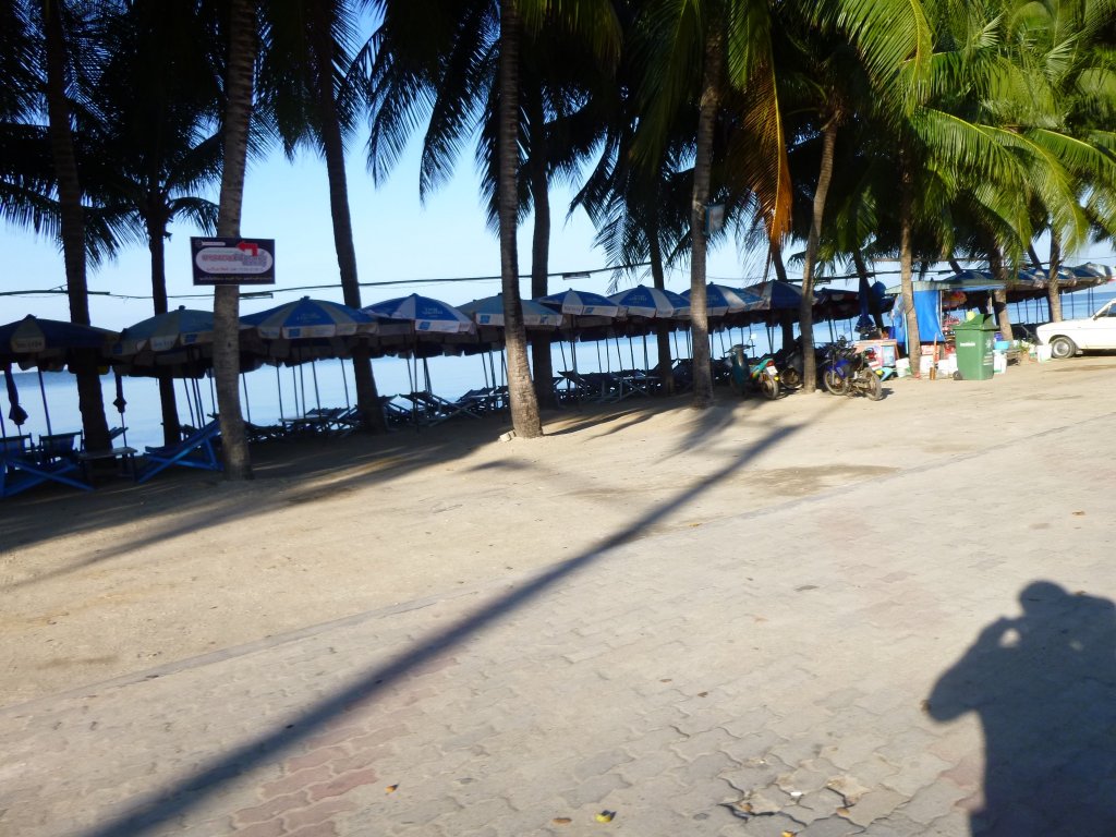 P1040168.jpg