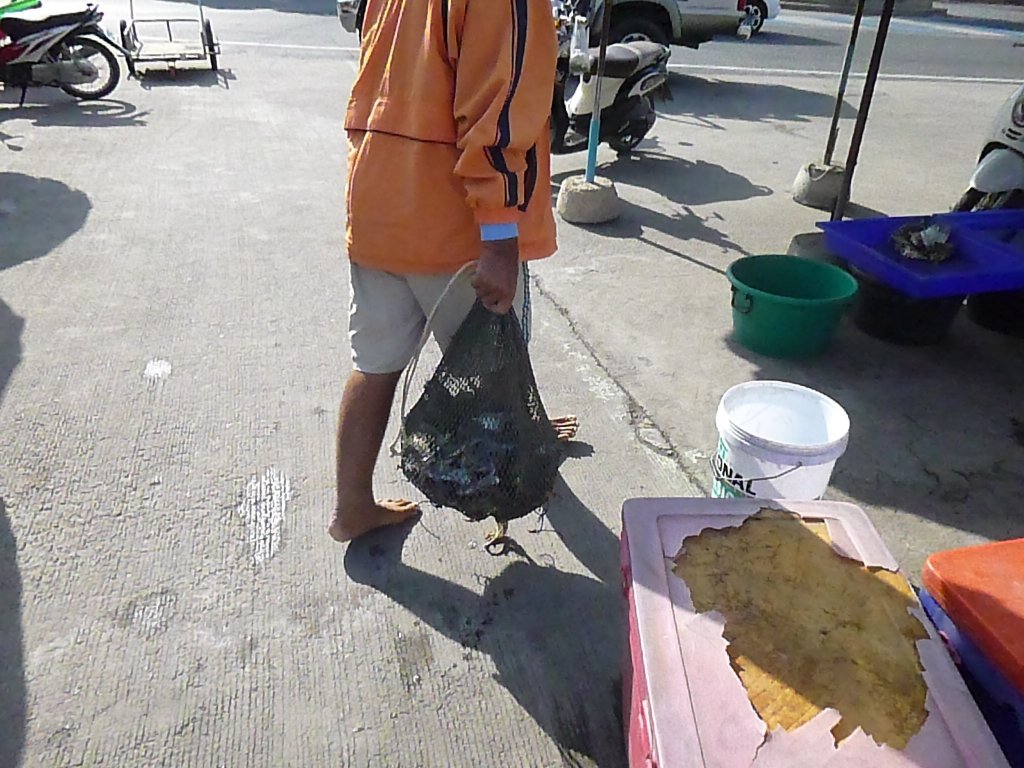 P1040248.jpg