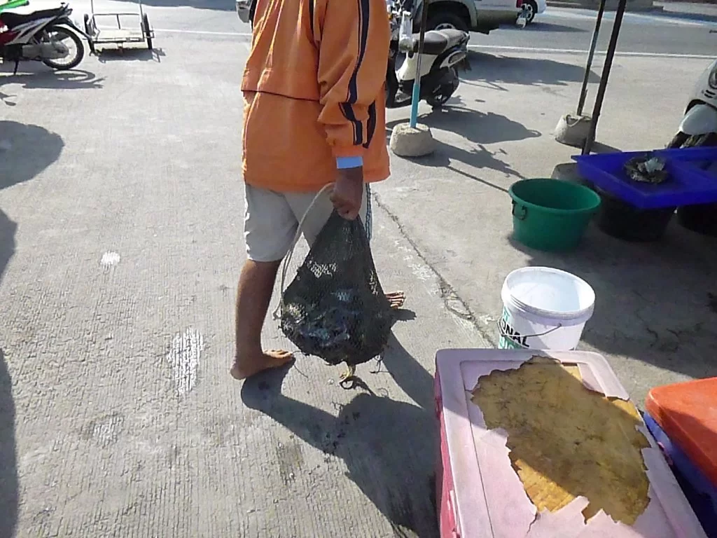 P1040248.webp