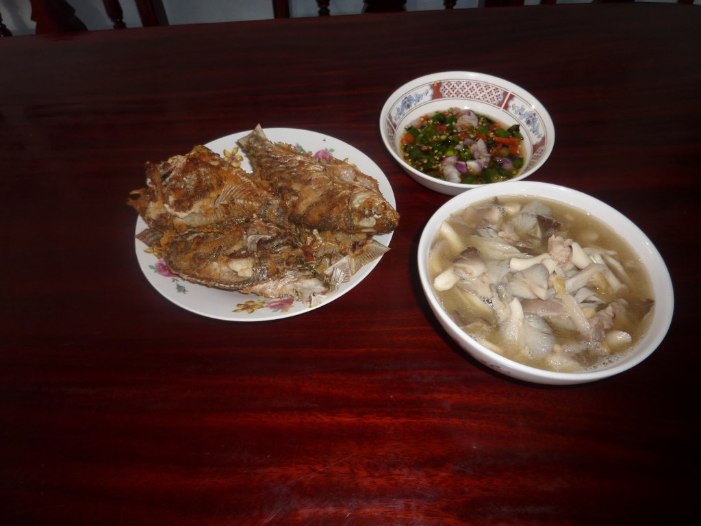 P1040300.JPG