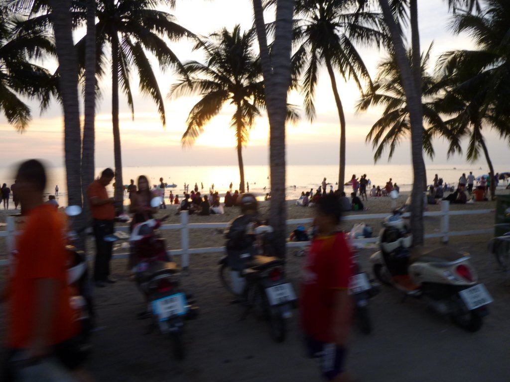 P1040324.jpg