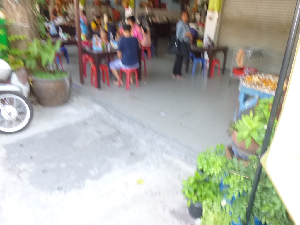 P1040731.jpg