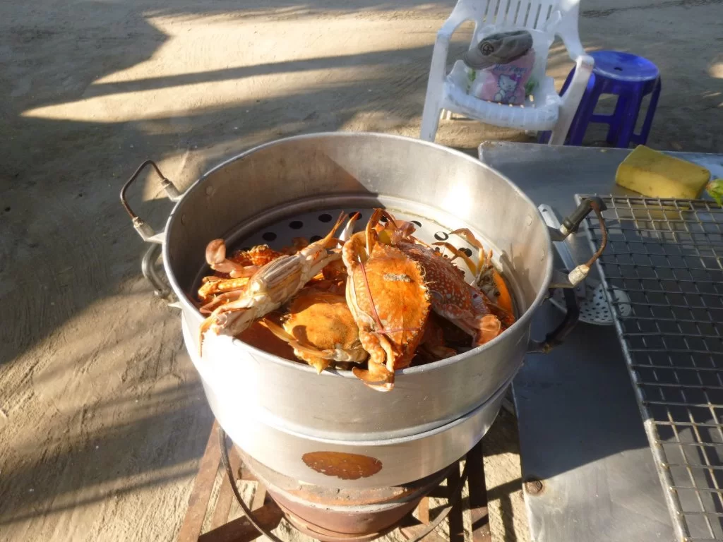 P1040858.webp