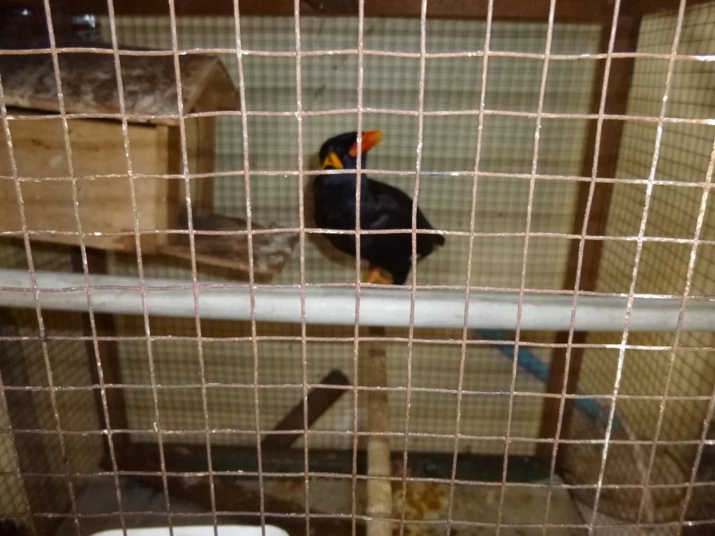 P1040951.webp