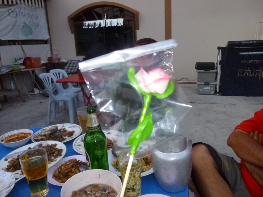P1040986.jpg