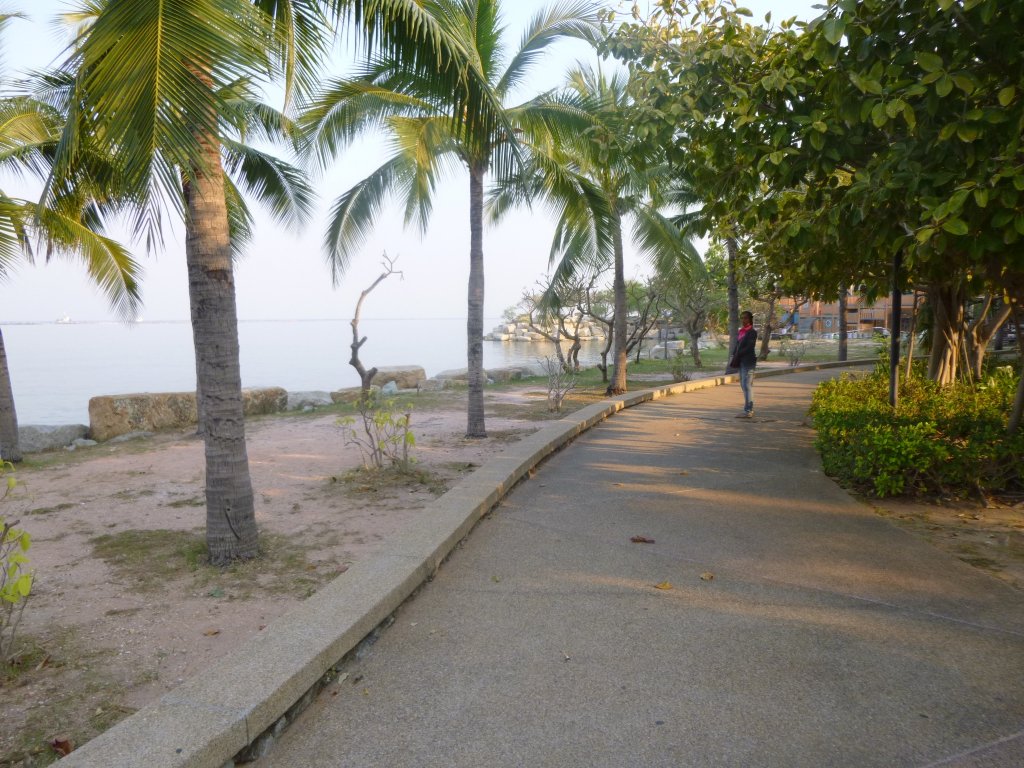 P1050003.jpg