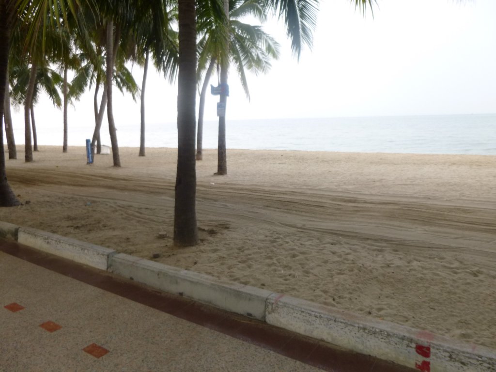 P1050063.jpg