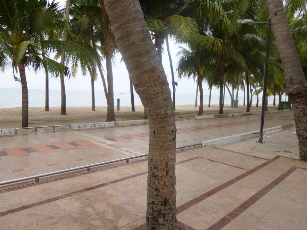 P1050064.jpg