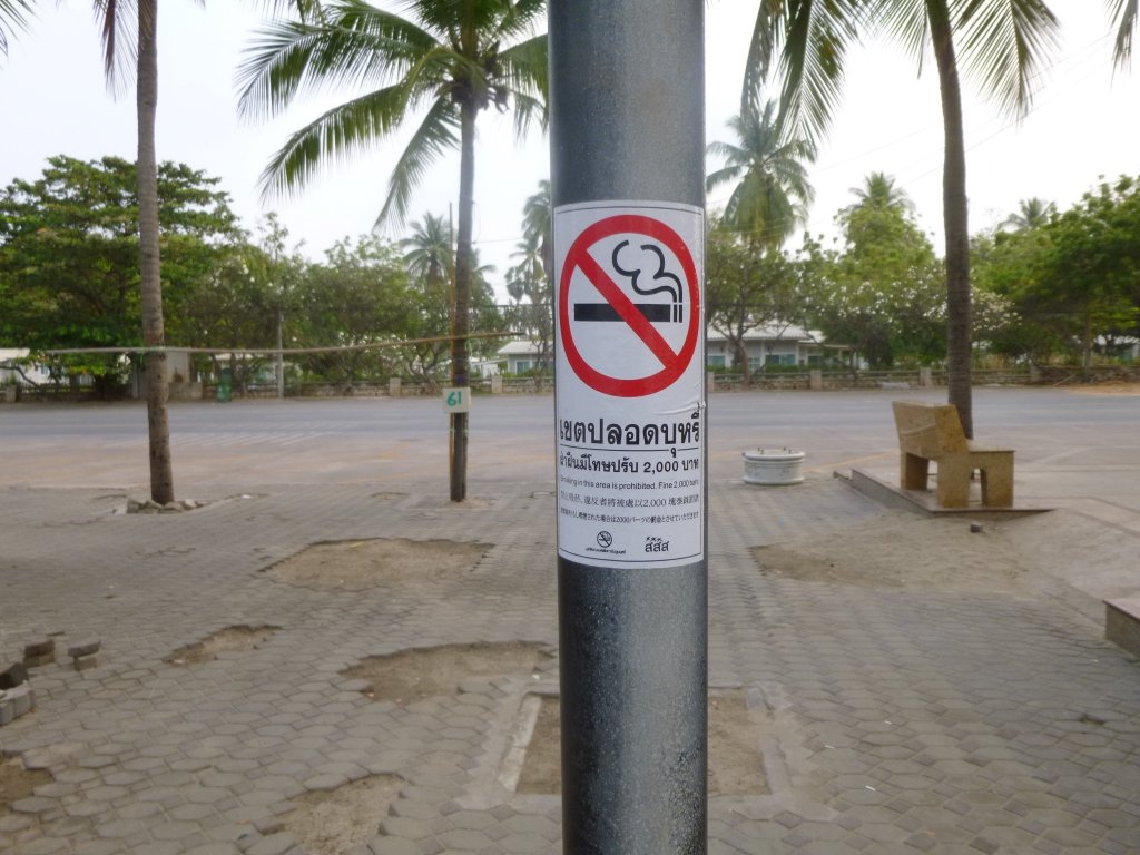 P1050069.jpg