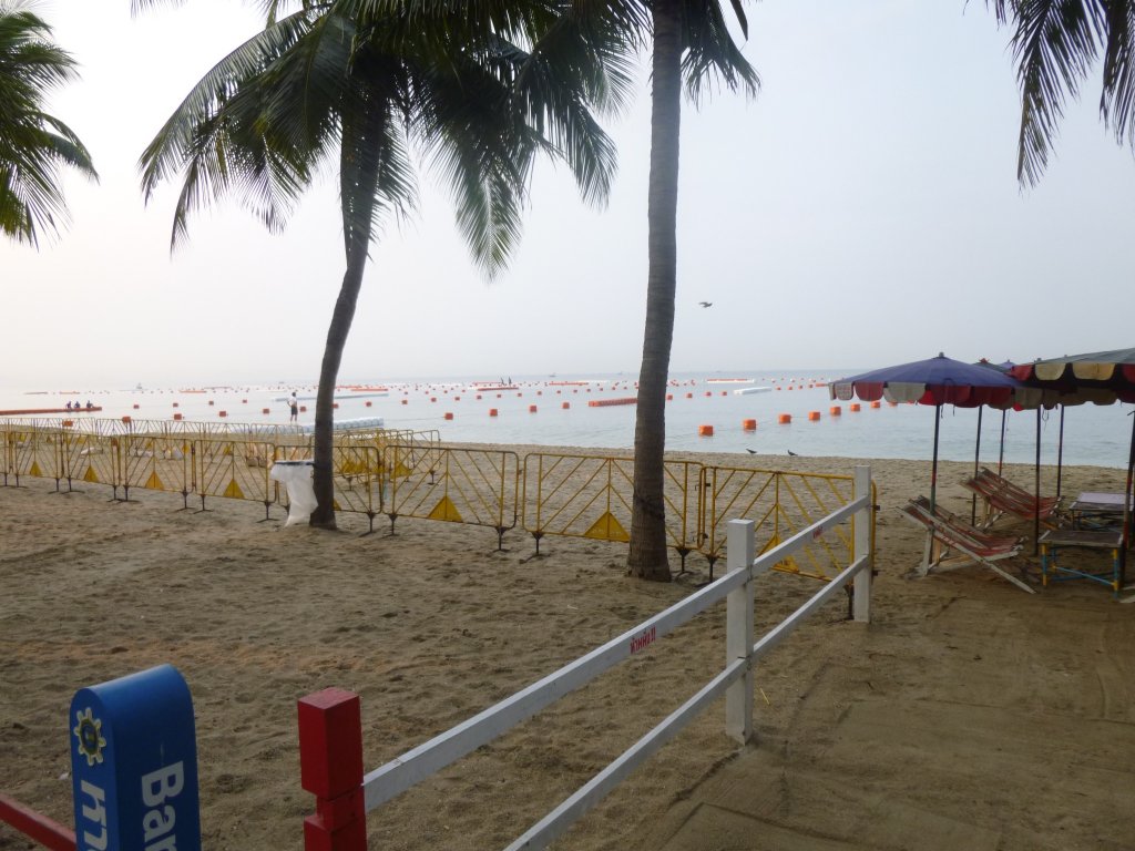 P1050079.jpg