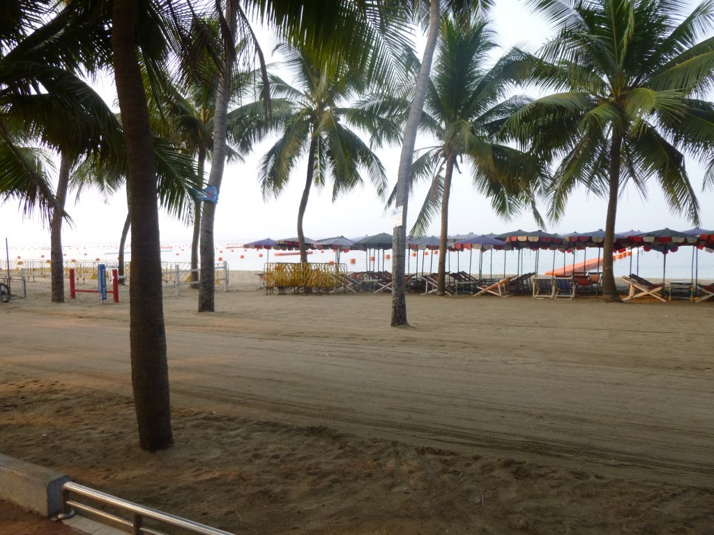 P1050087.jpg