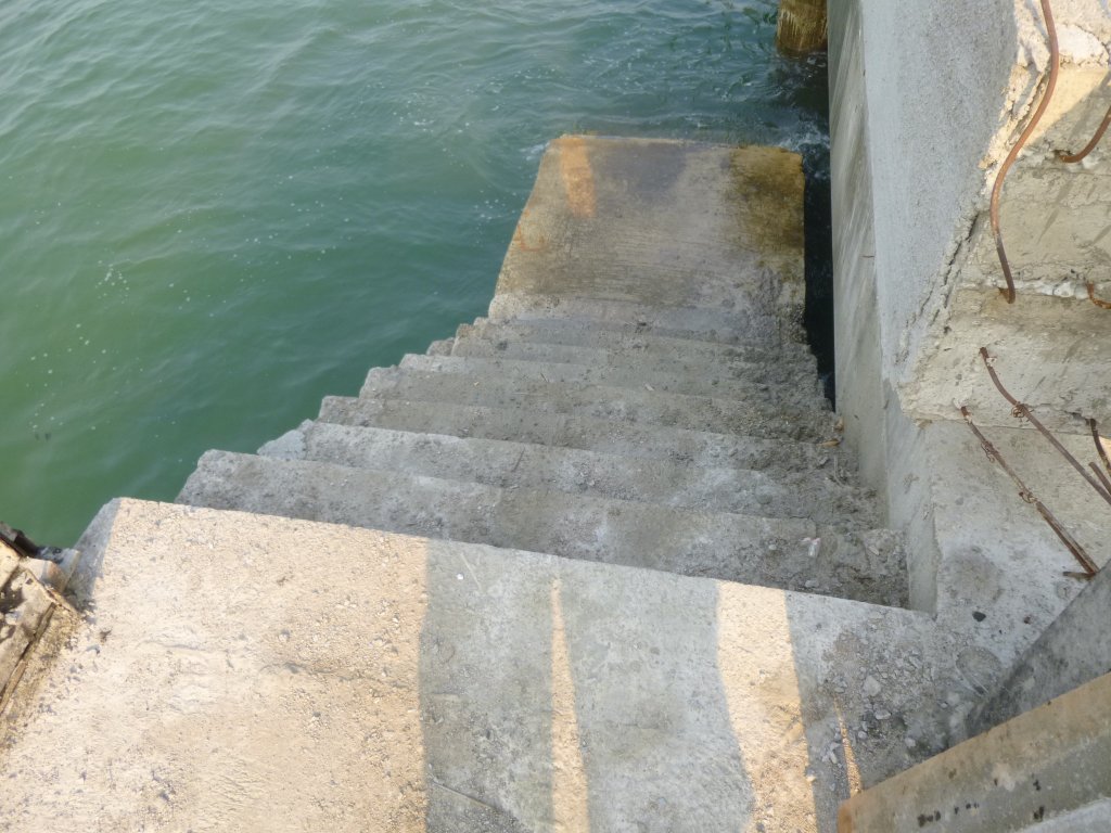 P1050110.jpg