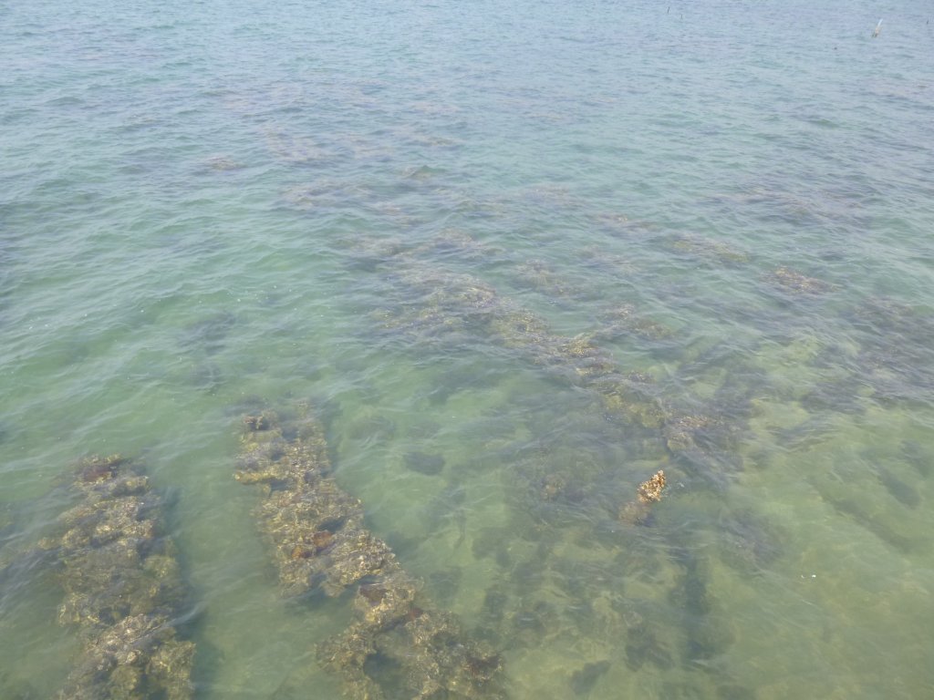 P1050136.jpg