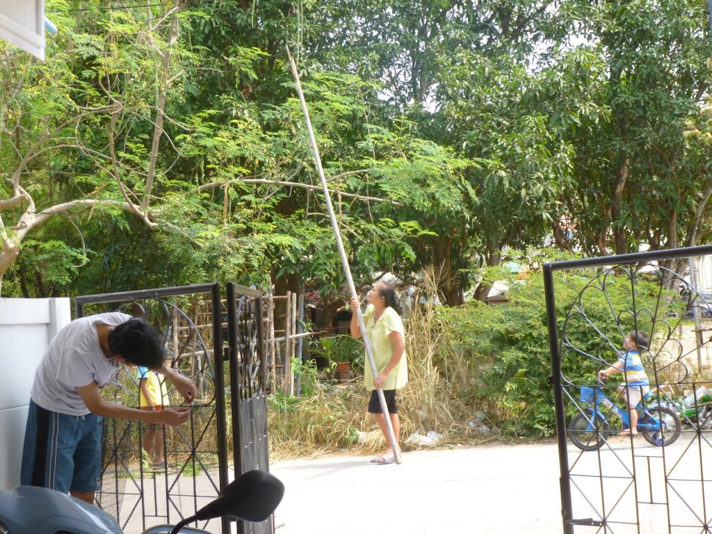 P1050184.jpg