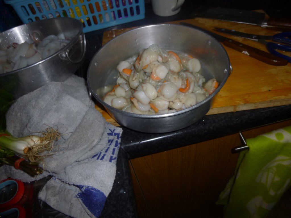 P1050267.jpg