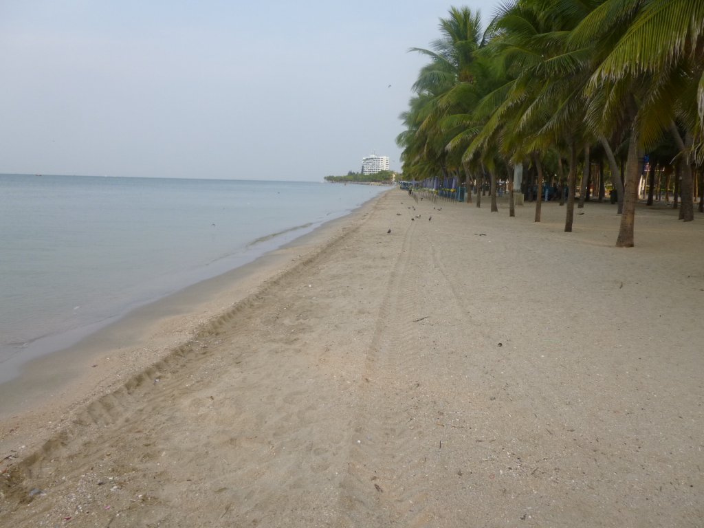 P1050278.jpg