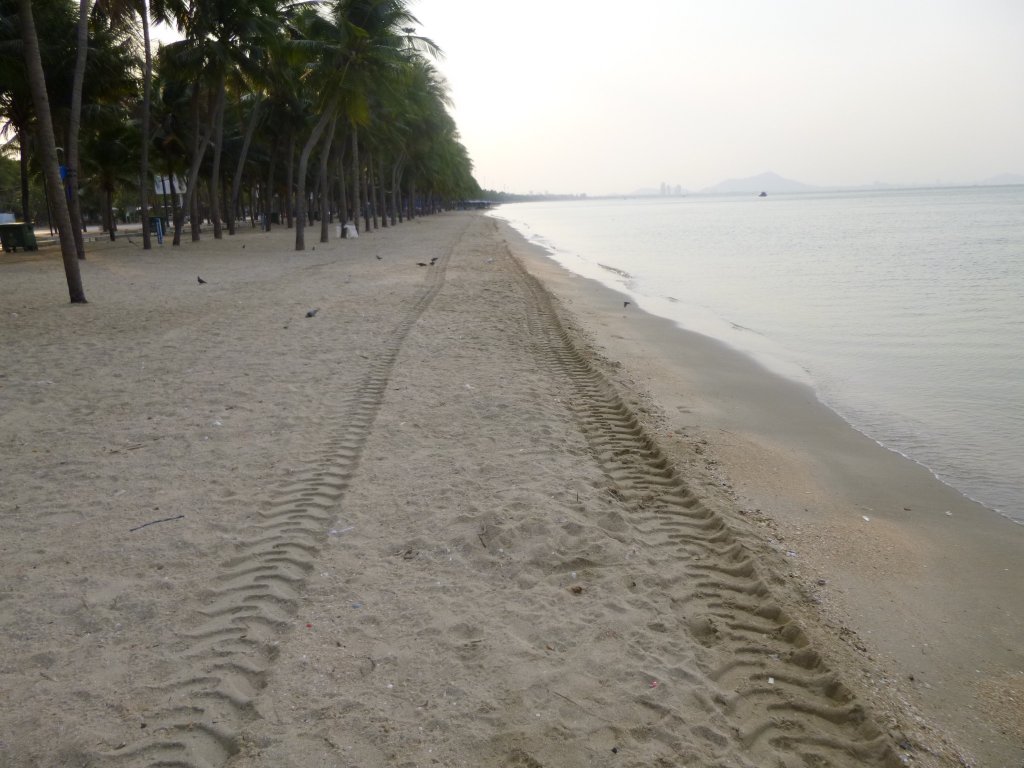 P1050279.jpg