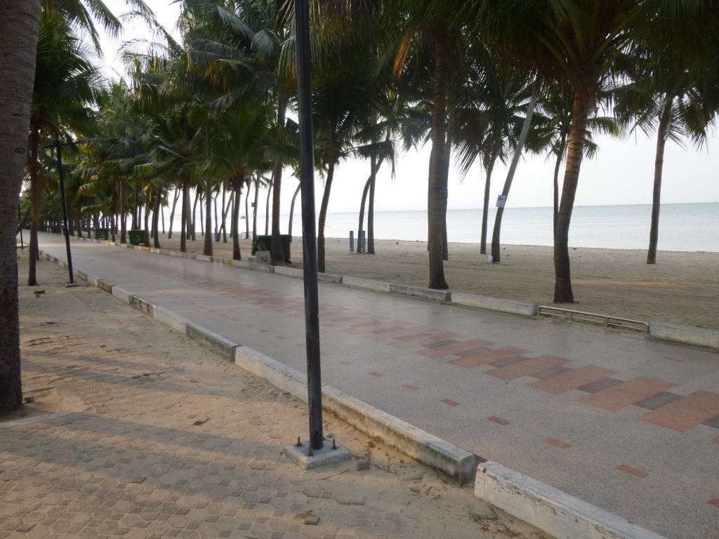 P1050282.jpg
