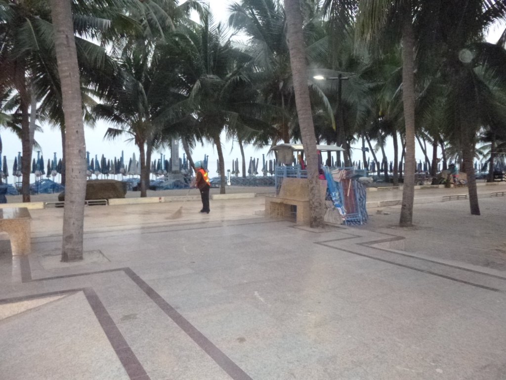P1050313.jpg