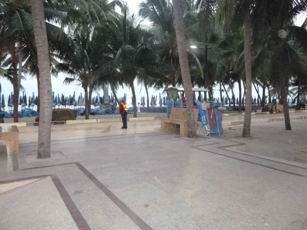P1050313.webp