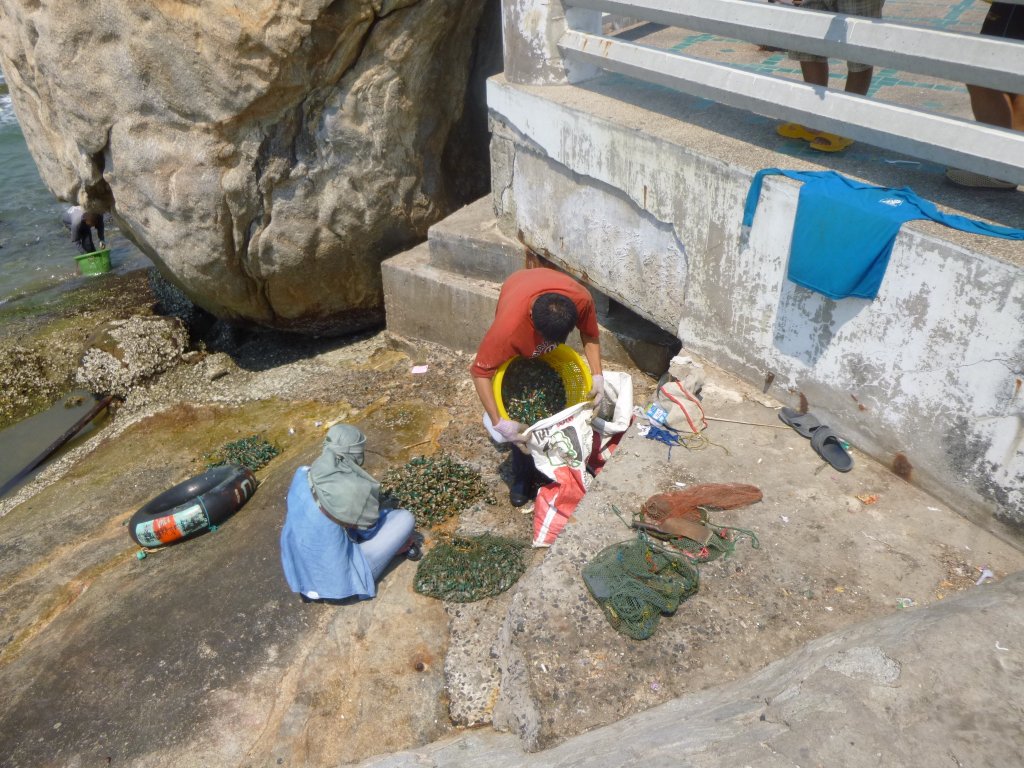 P1050331.jpg
