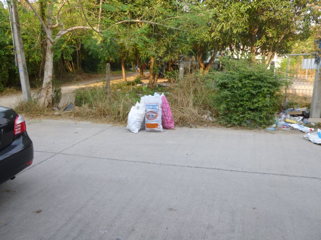 P1050347.jpg