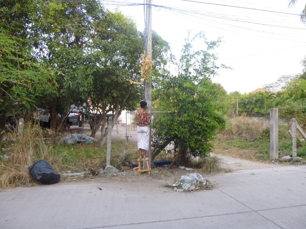 P1050349.jpg